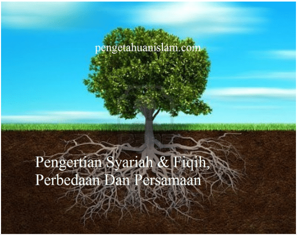 Pengertian Syariah & Fiqih Perbedaan Dan Persamaan