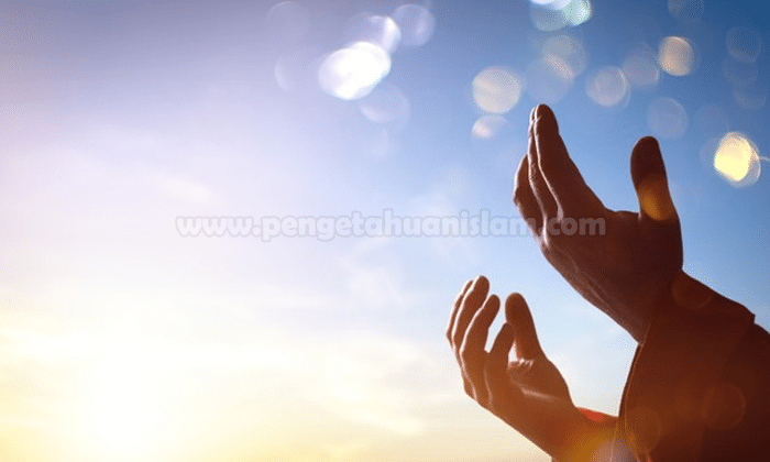 Pentingnya Mengenal Taubat dan Cara Melakukannya